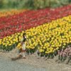 Busch 1206 - "Tulipani" - H0