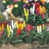 Busch 1218 - "Lupini da giardino" - H0