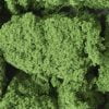 Woodland scenics FC58 - Fogliame verde