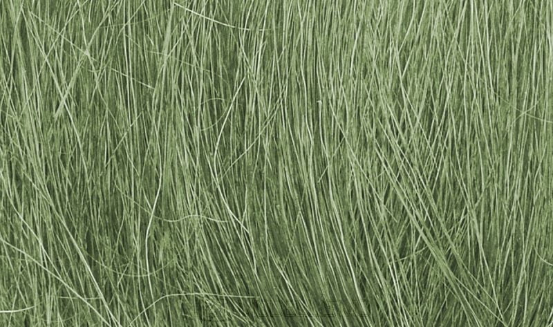 Woodland scenics FG174 -  Cespugli per laghetti, verde