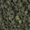 Woodland scenics FC149 - Cespugli, verde misto