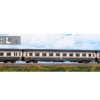 ACME 55221 - Set 3 carrozze TEE "Adriatico" di '1 cl., tipo Gran Confort, FS - H0